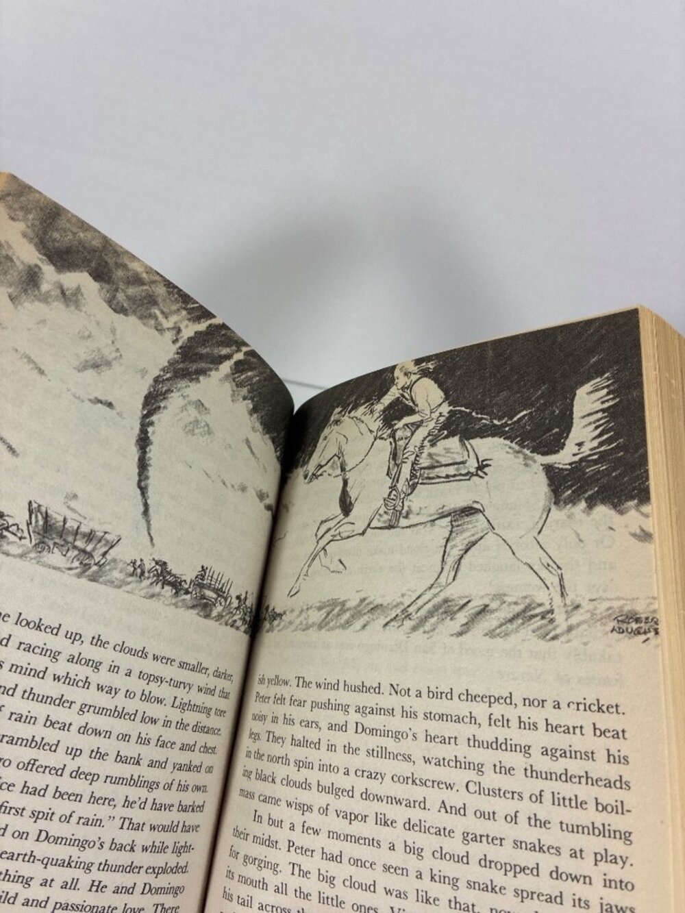 Vintage Marguerite Henry Horse Books Lot of 5 Aladdin Paperbacks 1991-1993 - Picture 12 of 13